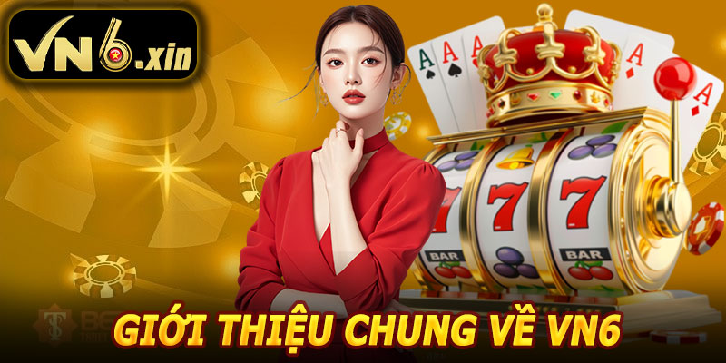 Giới Thiệu Chung Về VN6